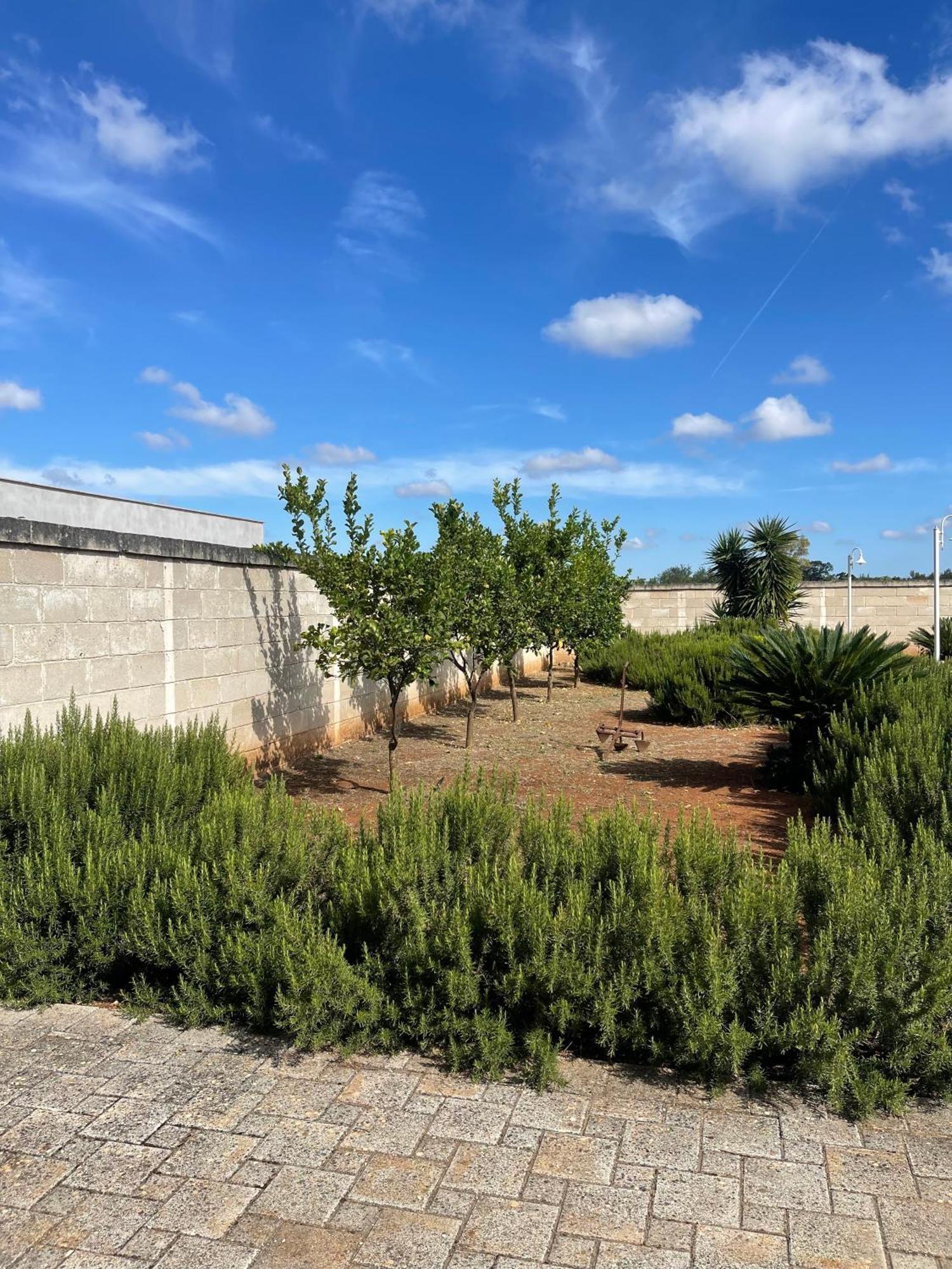 Masseria Don Bonifacio Castellana Grotte Exterior photo